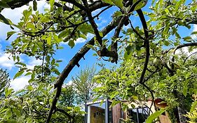 Elysian Fields - The Island Tiny House